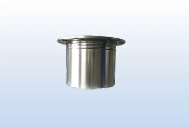 轮边总成 Wheel assembly
